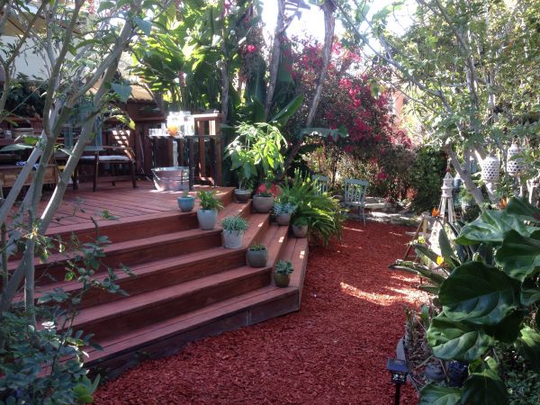 Redwood Deck Restoration